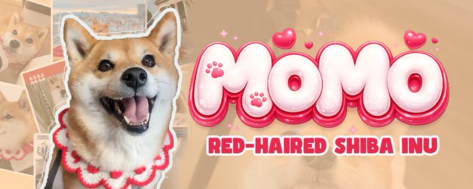 $MOMO Red-haired Shiba Inu